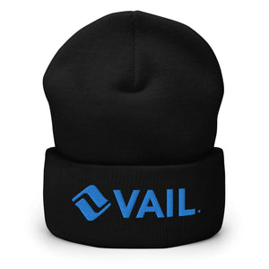 Vail Beanie